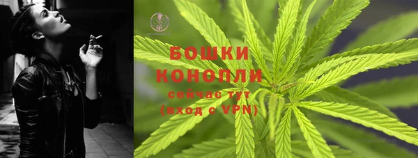 амф Каменка
