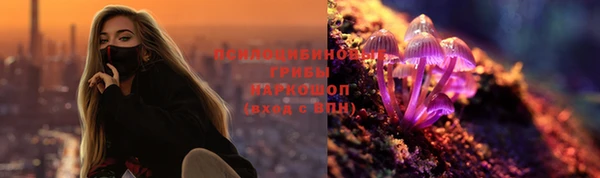 амф Каменка