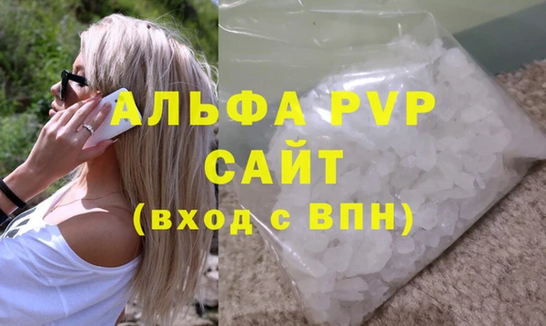 амф Каменка
